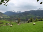 Casa rural : 4/6 personas - arette la pierre saint martin pirineos atlanticos aquitania francia - mejor precio | unprecio.es