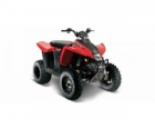 POLARIS SCRAMBLER 500 - mejor precio | unprecio.es