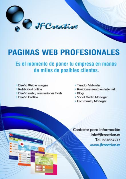 Diseño Web Profesional