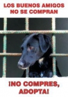 ESPAÑA: S.O.S. NO COMPRES PASTORES ALEMANES, ADOPTA Y SALVA VIDAS. (PASTOR ALEMAN) - mejor precio | unprecio.es