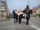 Caballos Friesian disponible - mejor precio | unprecio.es