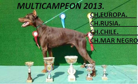 Cachorros de doberman  almeria