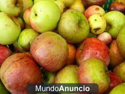 vendo manzanas para sidra