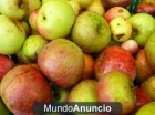 vendo manzanas para sidra - mejor precio | unprecio.es