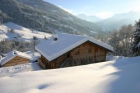 Apartamento en chalet : 2/8 personas - les saisies saboya rodano alpes francia - mejor precio | unprecio.es