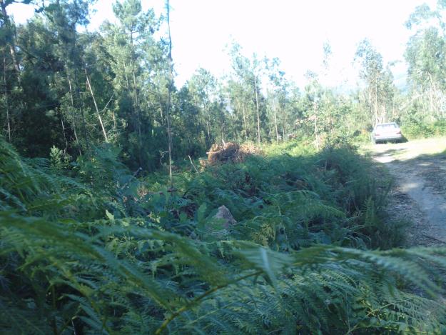 SE VENDE TERRENO EN PORRIÑO