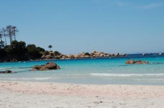 Estudio : 2/2 personas - junto al mar - vistas a mar - ajaccio  corcega del sur  corcega  francia