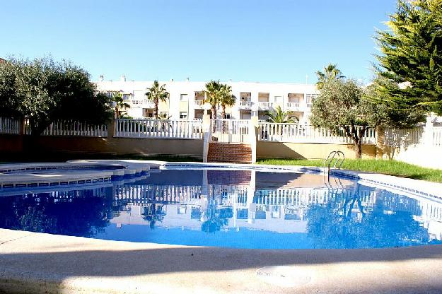 Estudio en Torrevieja