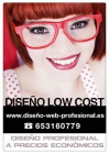 Servicios de Diseño web y gráfico profesional a precios Anti-crisis - mejor precio | unprecio.es