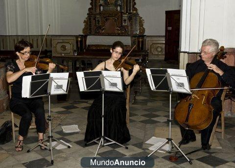 Musica especial para Bodas Sevilla , Cadiz, Huelva