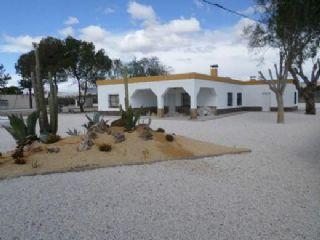 Finca/Casa Rural en venta en Crevillente/Crevillent, Alicante (Costa Blanca)