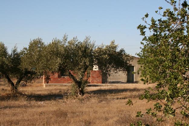 Finca rústica en Ametlla de Mar, l´