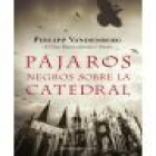 Pájaros negros sobre la catedral - mejor precio | unprecio.es