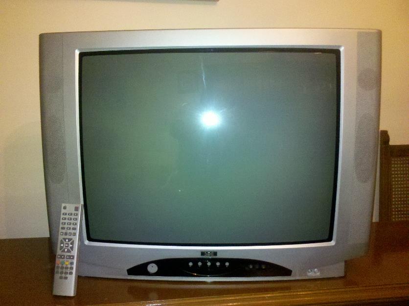 Televisor de 29