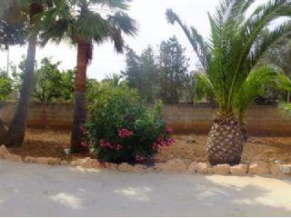 Finca/Casa Rural en venta en Llucmajor, Mallorca (Balearic Islands)