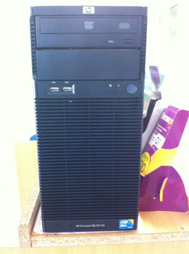 Servidor HP ProLiant ML110 G6