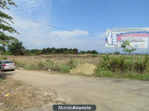 VENDO FINCA EN SANTA ROSA-EL ORO-ECUADOR