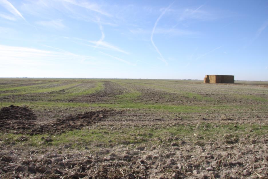 Finca de regadio  360 has. ciudad real  (españa)