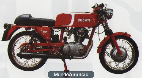 vendo ducati 24h (replica)