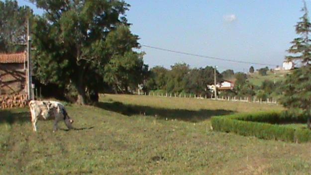 OFERTÓN casa de piedra(150m2)+terreno(14350m2)