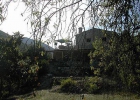 Fig Tree House - mejor precio | unprecio.es