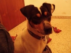 Regalo bodeguero - mejor precio | unprecio.es