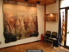 SE VENDE TAPIZ LANA - mejor precio | unprecio.es