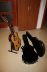 Guitarra Flamenca de Palosanto - mejor precio | unprecio.es
