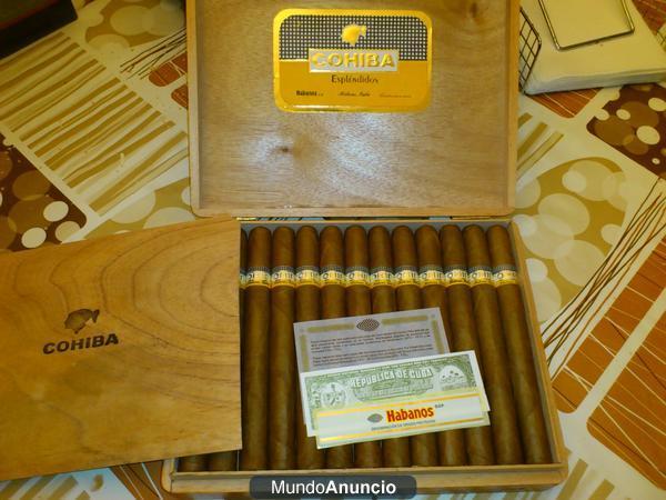 Boligrafo y puros cohiba esplendidos