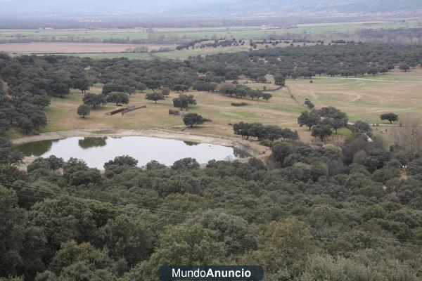 FINCA  DE RECREO 548 HAS A 130 KM. DE MADRID