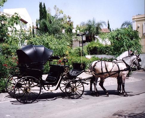 CABALLOS Y COCHES PARA BODAS