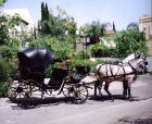 CABALLOS Y COCHES PARA BODAS - mejor precio | unprecio.es