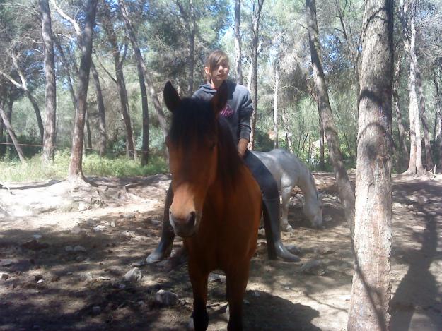 Necesito caballo