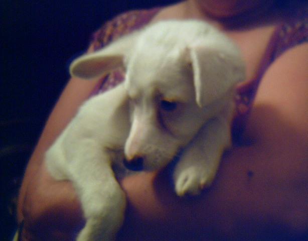 nieve d 3 meses,en un barrio marginal,adopcion o acogida