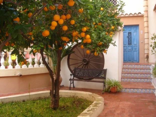 ático-dúplex en Torrevieja