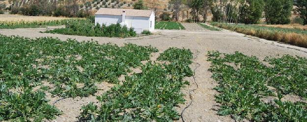 Finca rústica en Granada