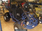 BUGGIE AZEL 150 c.c DOS PLAZAS - mejor precio | unprecio.es