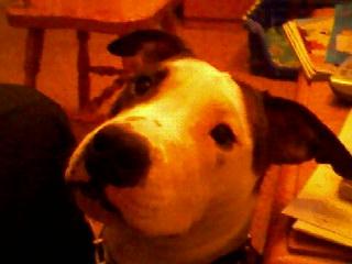 Busco Novia ......
