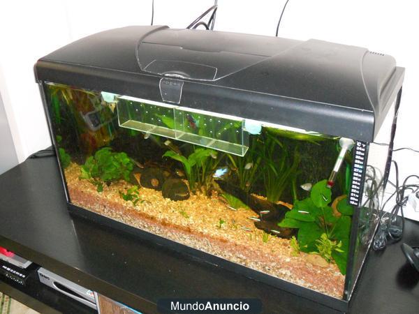 Vendo acuario de 100 litros completo