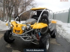 Vendo Buggy Renli 250 - mejor precio | unprecio.es