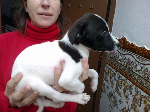 Camila con 2 mesesitos sufriendo las desgracias de una raza