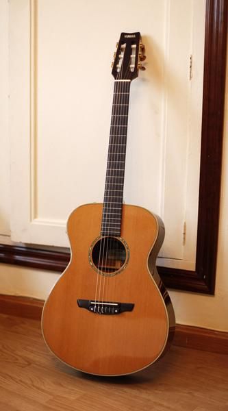 Guitarra Yamaha FPX 300N