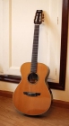 Guitarra Yamaha FPX 300N - mejor precio | unprecio.es