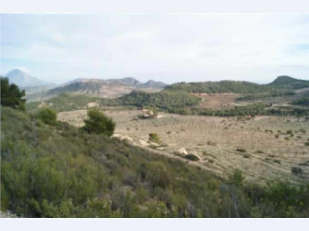 Solar/Parcela en venta en Villajoyosa (la)/Vila Joiosa, Alicante (Costa Blanca)