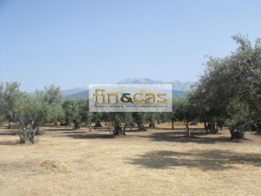 Finca rústica - Candeleda