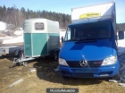 Mercedes-Benz Sprinter Hestebil - Dyretransportbil - mejor precio | unprecio.es