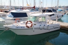 Vendo barco pesca paseo Faeton Top Moraga 730 - mejor precio | unprecio.es
