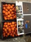 Riquísimas naranjas de Valencia - mejor precio | unprecio.es
