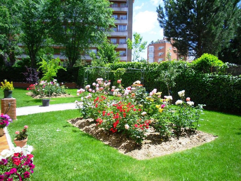 Residencia Geriatrica 3ª Edad Las Rosas Madrid
