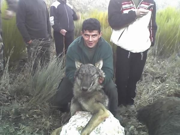 monteria de jabali en zamora